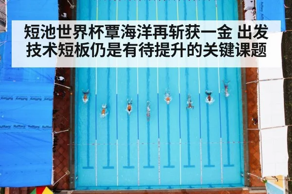 swimming race pool